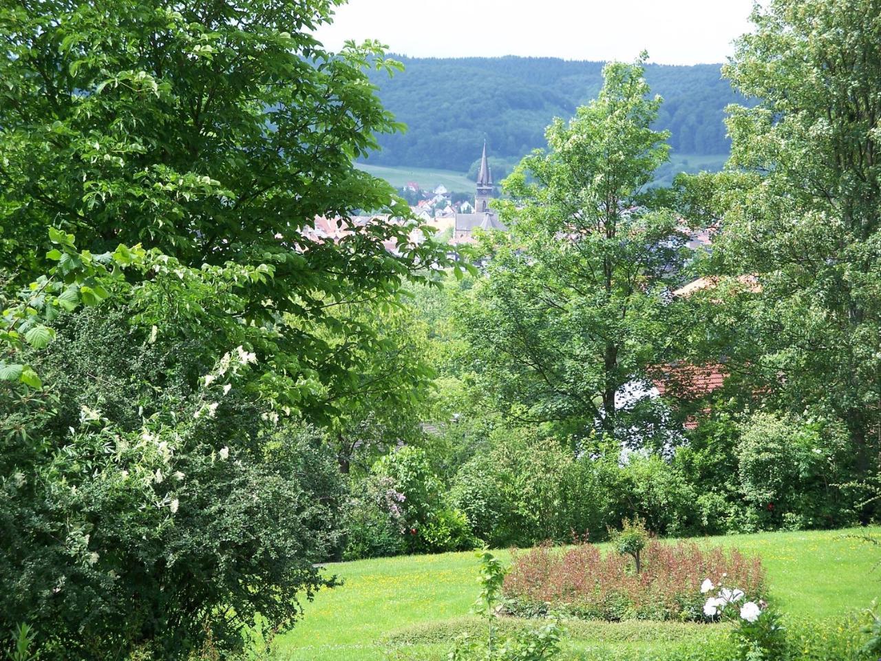 Haus Am Steinberg Apartment Бад Дрибург Екстериор снимка